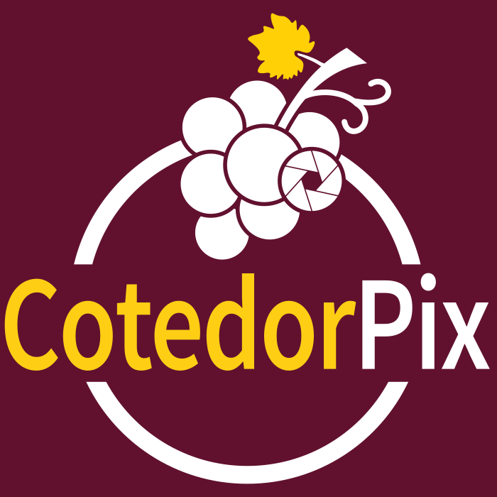 logo de l'association Cotedorpix